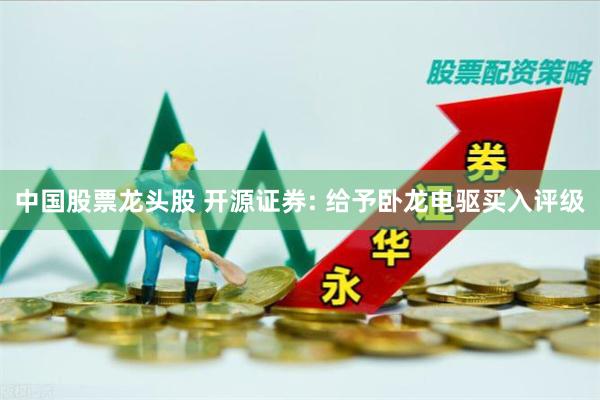 中国股票龙头股 开源证券: 给予卧龙电驱买入评级