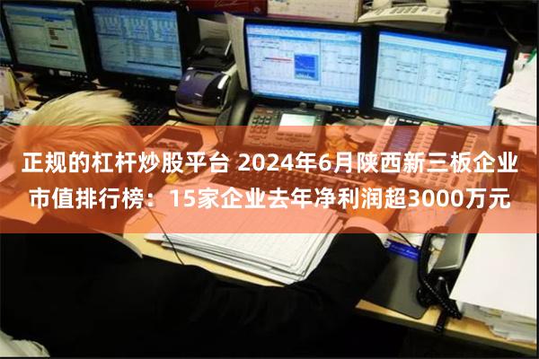 正规的杠杆炒股平台 2024年6月陕西新三板企业市值排行榜：15家企业去年净利润超3000万元