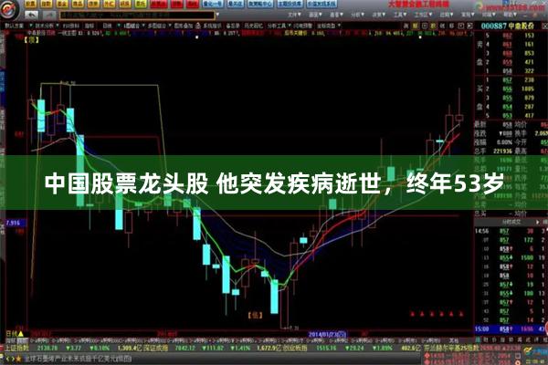 中国股票龙头股 他突发疾病逝世，终年53岁