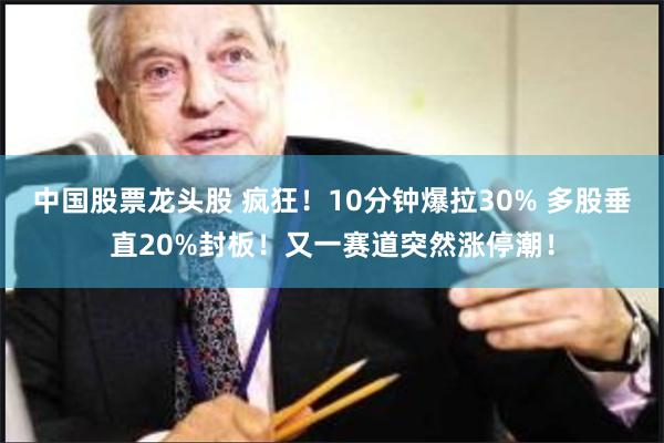 中国股票龙头股 疯狂！10分钟爆拉30% 多股垂直20%封板！又一赛道突然涨停潮！