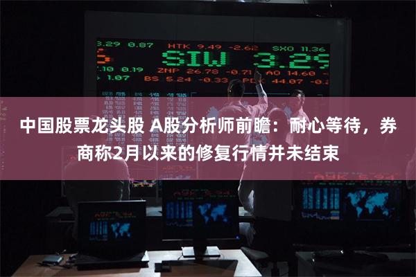 中国股票龙头股 A股分析师前瞻：耐心等待，券商称2月以来的修复行情并未结束