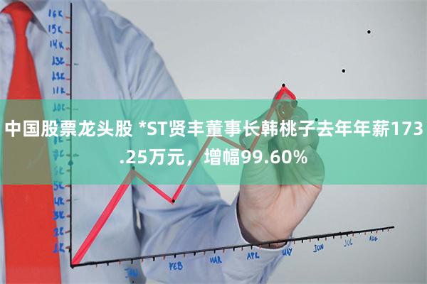 中国股票龙头股 *ST贤丰董事长韩桃子去年年薪173.25万元，增幅99.60%