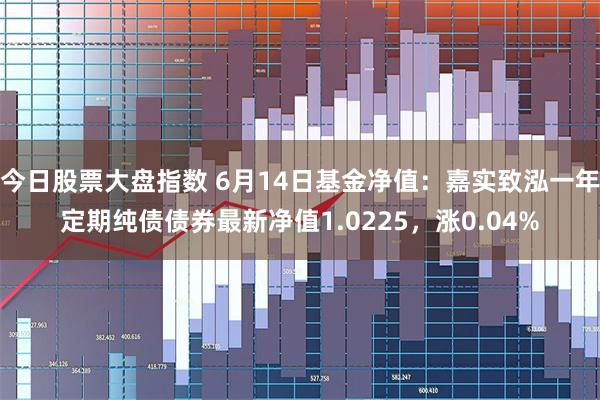 今日股票大盘指数 6月14日基金净值：嘉实致泓一年定期纯债债券最新净值1.0225，涨0.04%