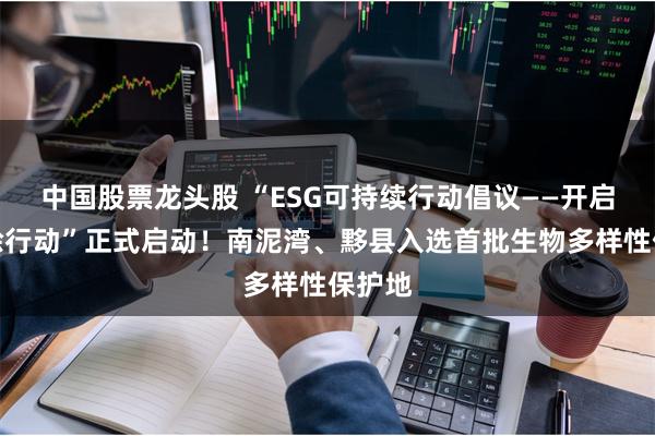 中国股票龙头股 “ESG可持续行动倡议——开启碳移除行动”正式启动！南泥湾、黟县入选首批生物多样性保护地