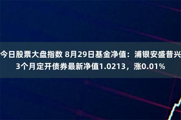 今日股票大盘指数 8月29日基金净值：浦银安盛普兴3个月定开债券最新净值1.0213，涨0.01%